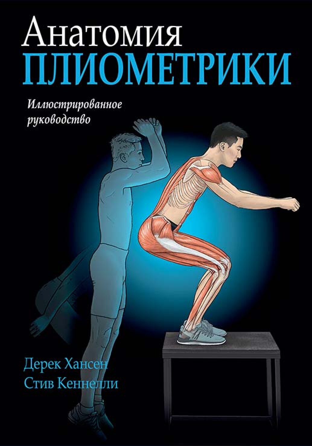 Анатомия плиометрики