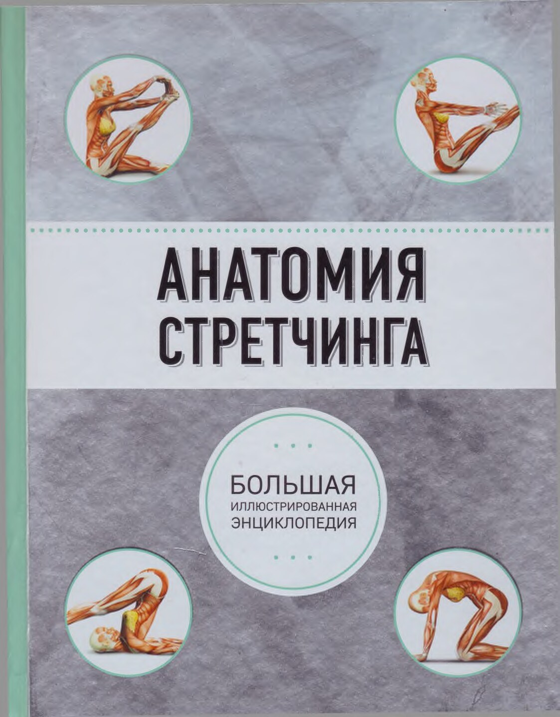 Анатомия стретчинга