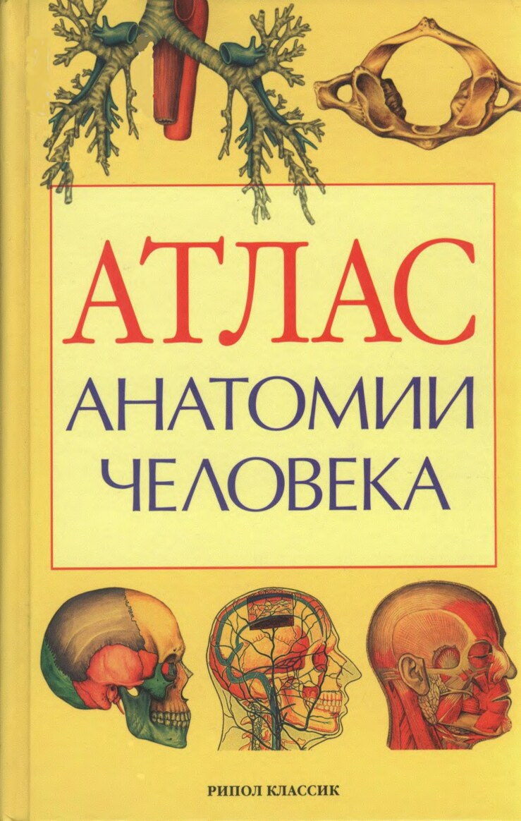 Атлас анатомии человека