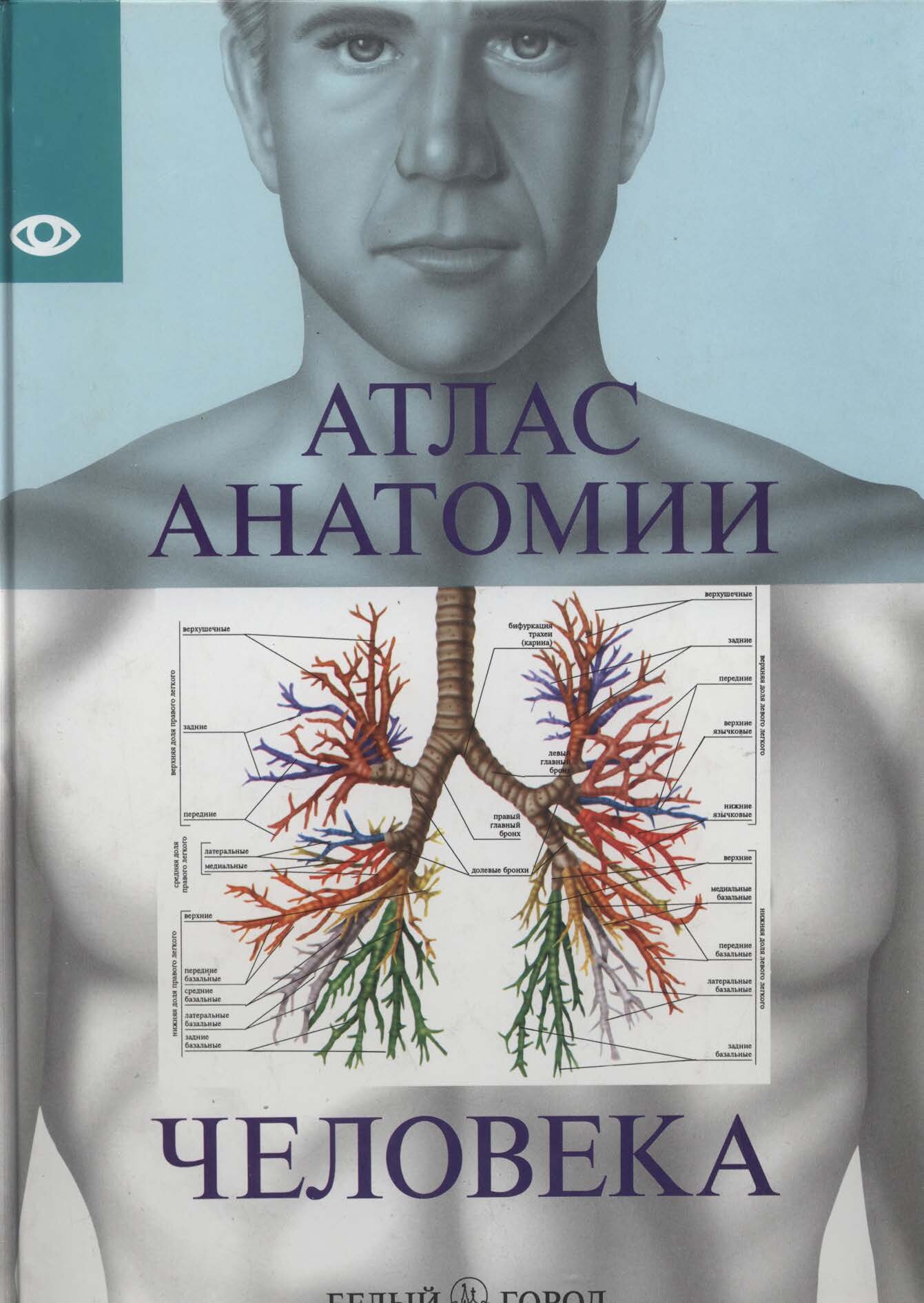 Атлас анатомии человека