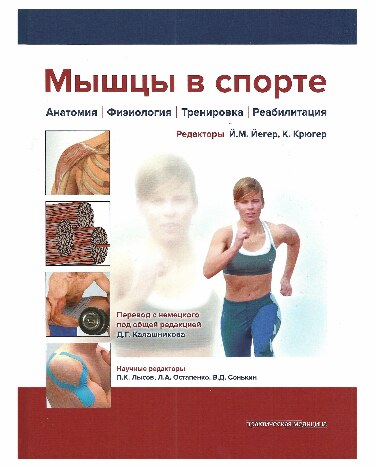 Мышцы в спорте