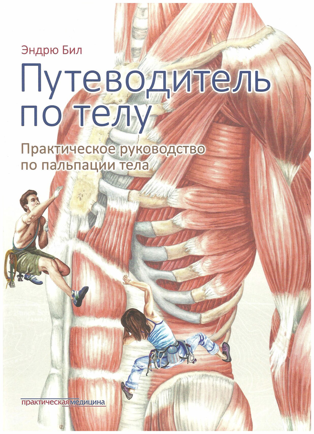 Путеводитель по телу. Руководство по пальпации тела