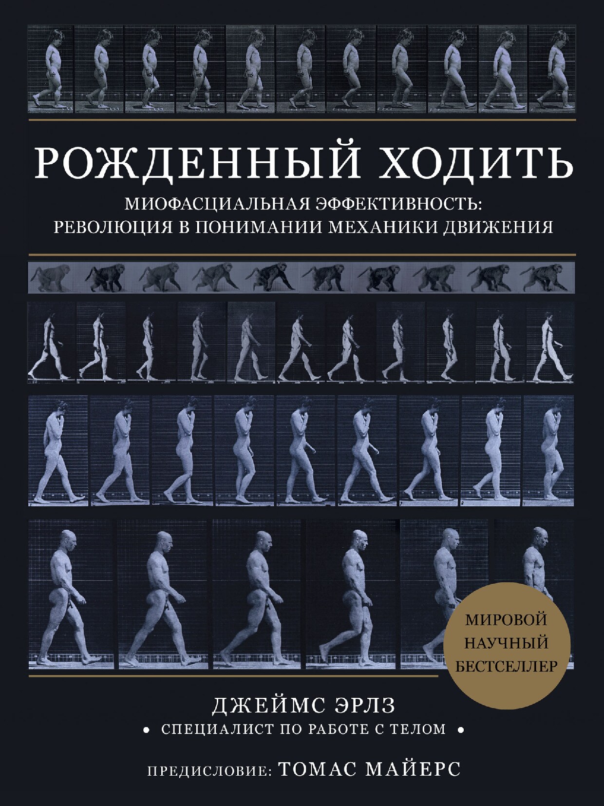 Рожденный ходить. Миофасциальная эффективность