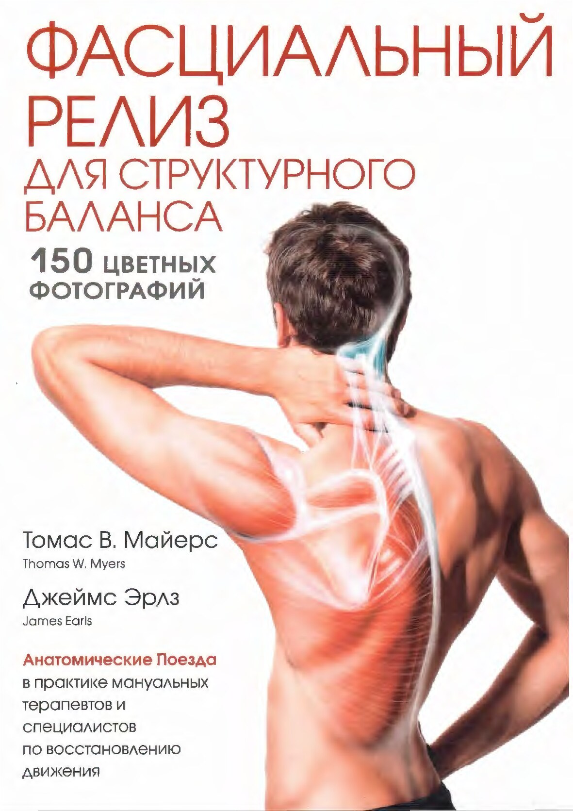 Фасциальный релиз для структурного баланса