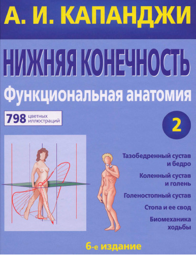 Нижняя конечность. Функциональная анатомия (Том 2)