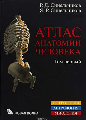 Атлас Анатомии человека. Том 1