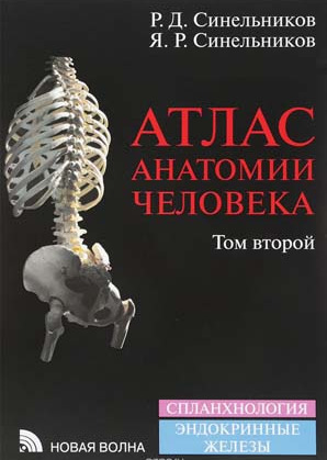 Атлас Анатомии человека. Том 2