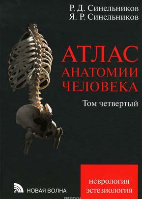 Атлас Анатомии человека. Том 4
