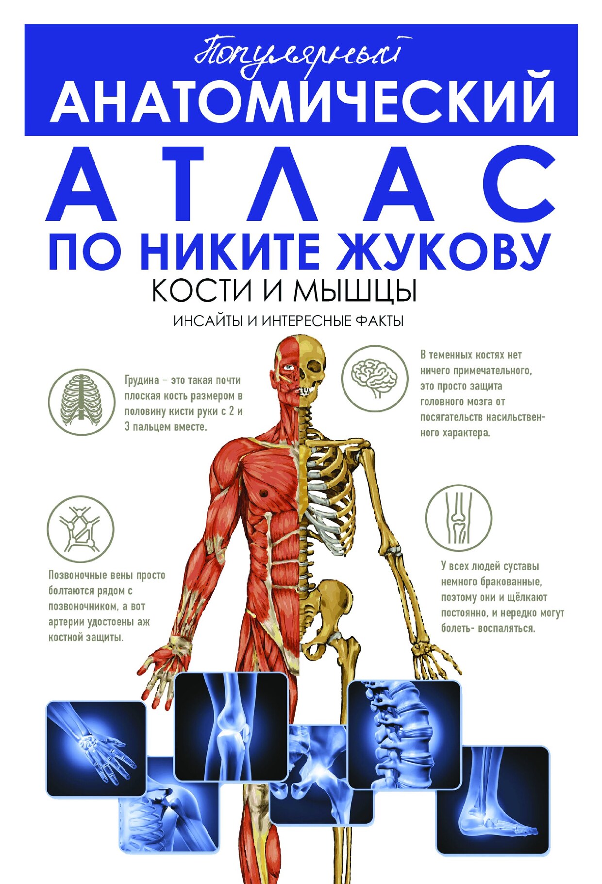 Популярный анатомический атлас по Никите Жукову