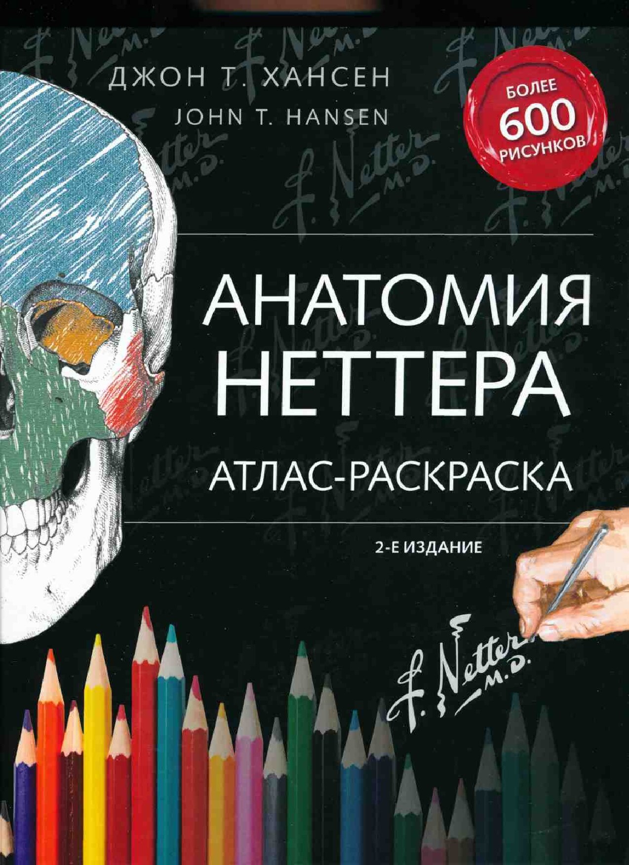 Анатомия Неттера