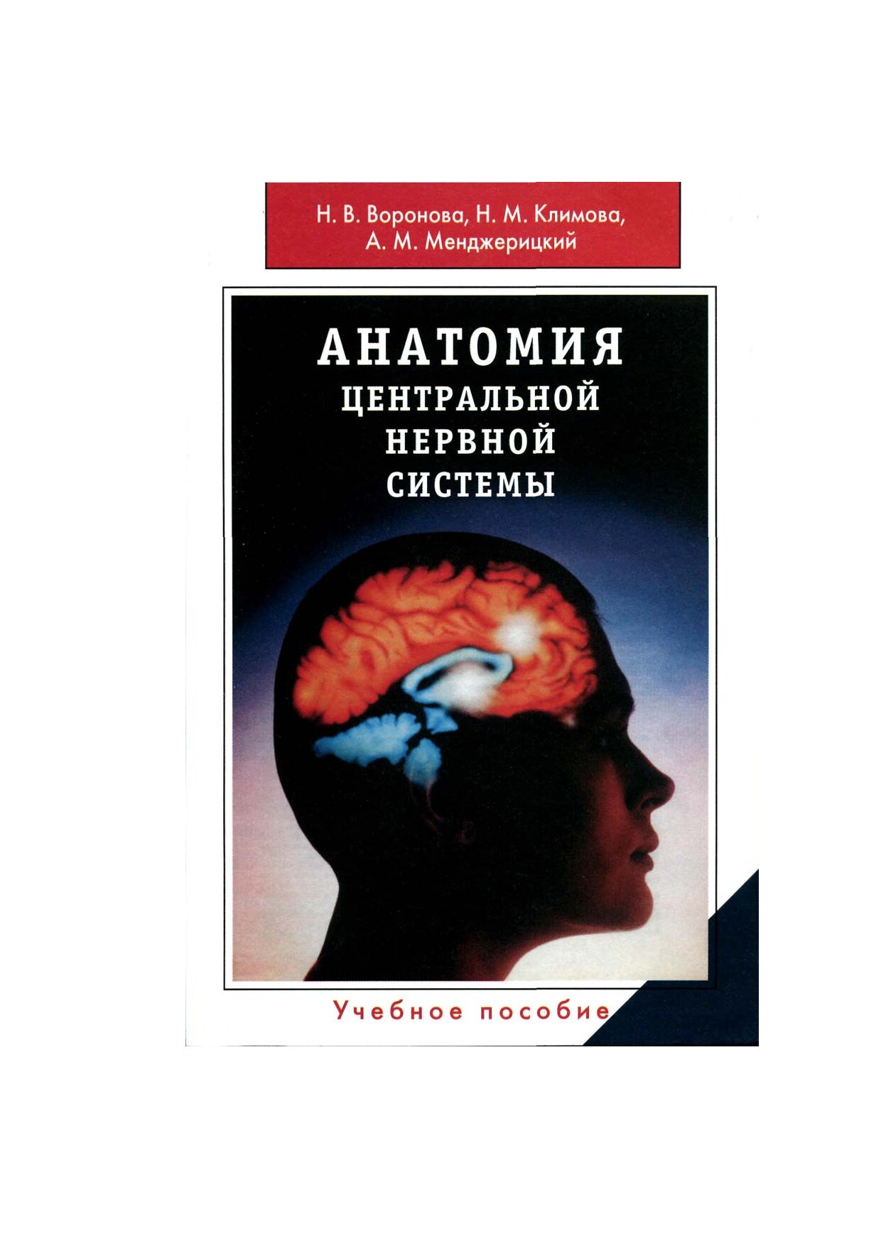 Анатомия центральной нервной системы