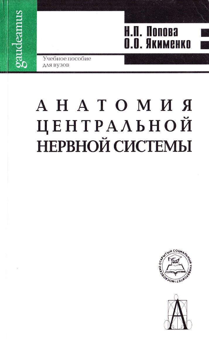 Анатомия центральной нервной системы