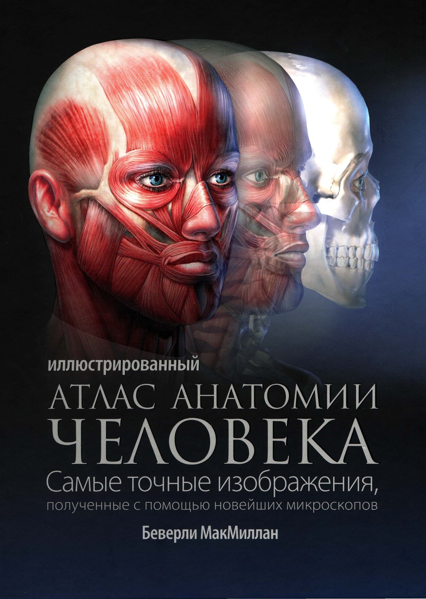 Иллюстрированный атлас анатомии человека
