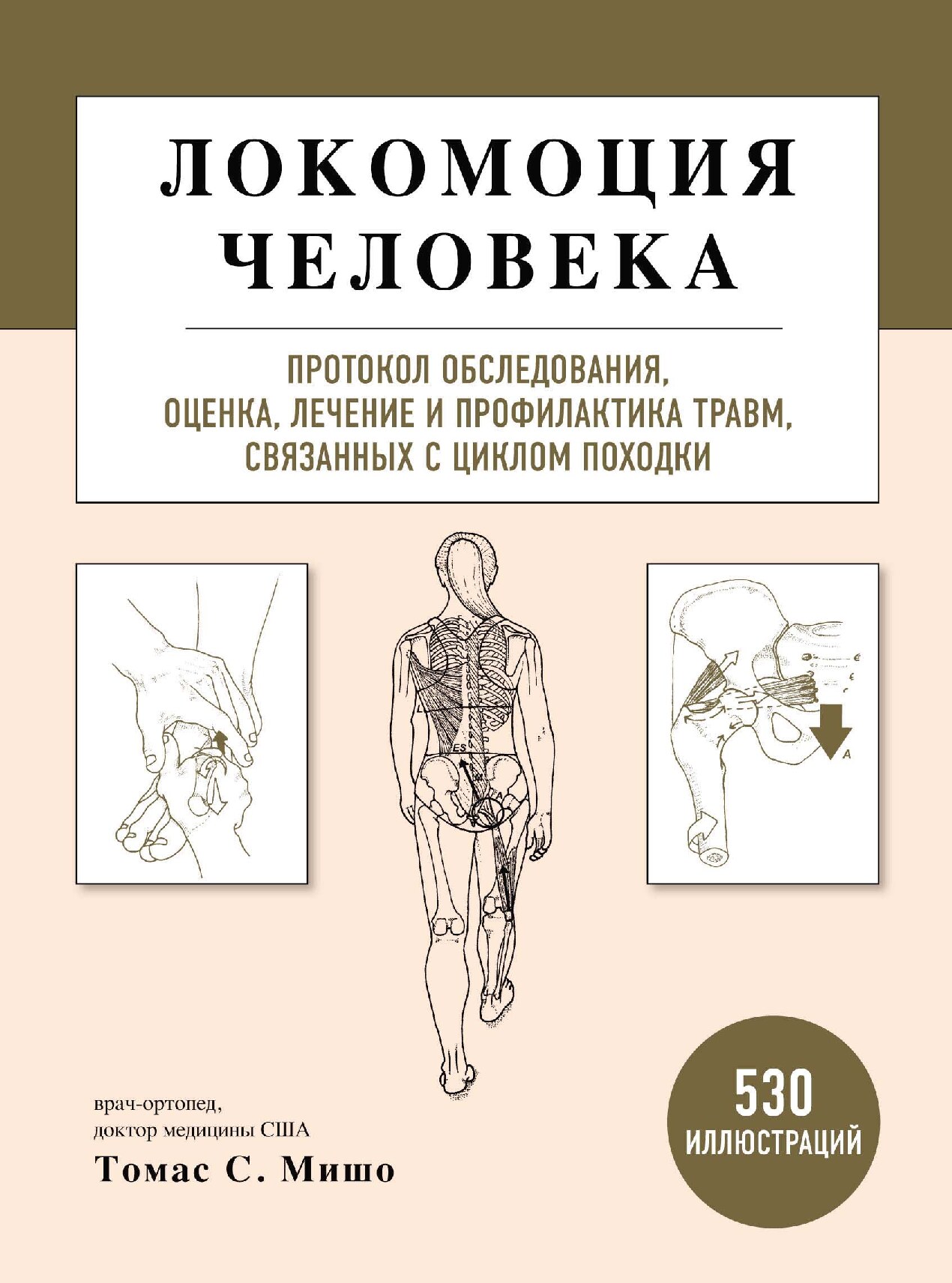 Локомоция человека