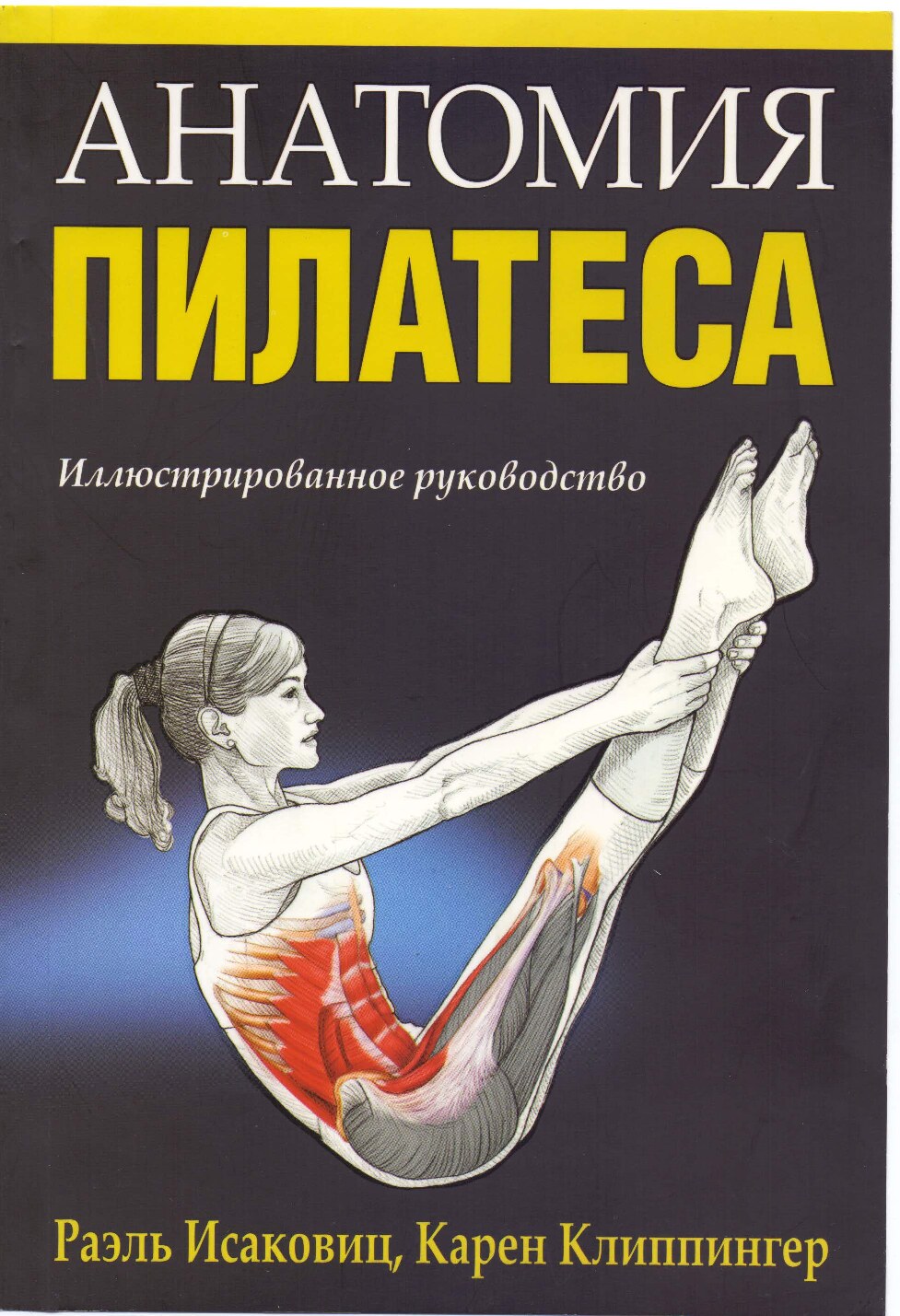 Анатомия пилатеса